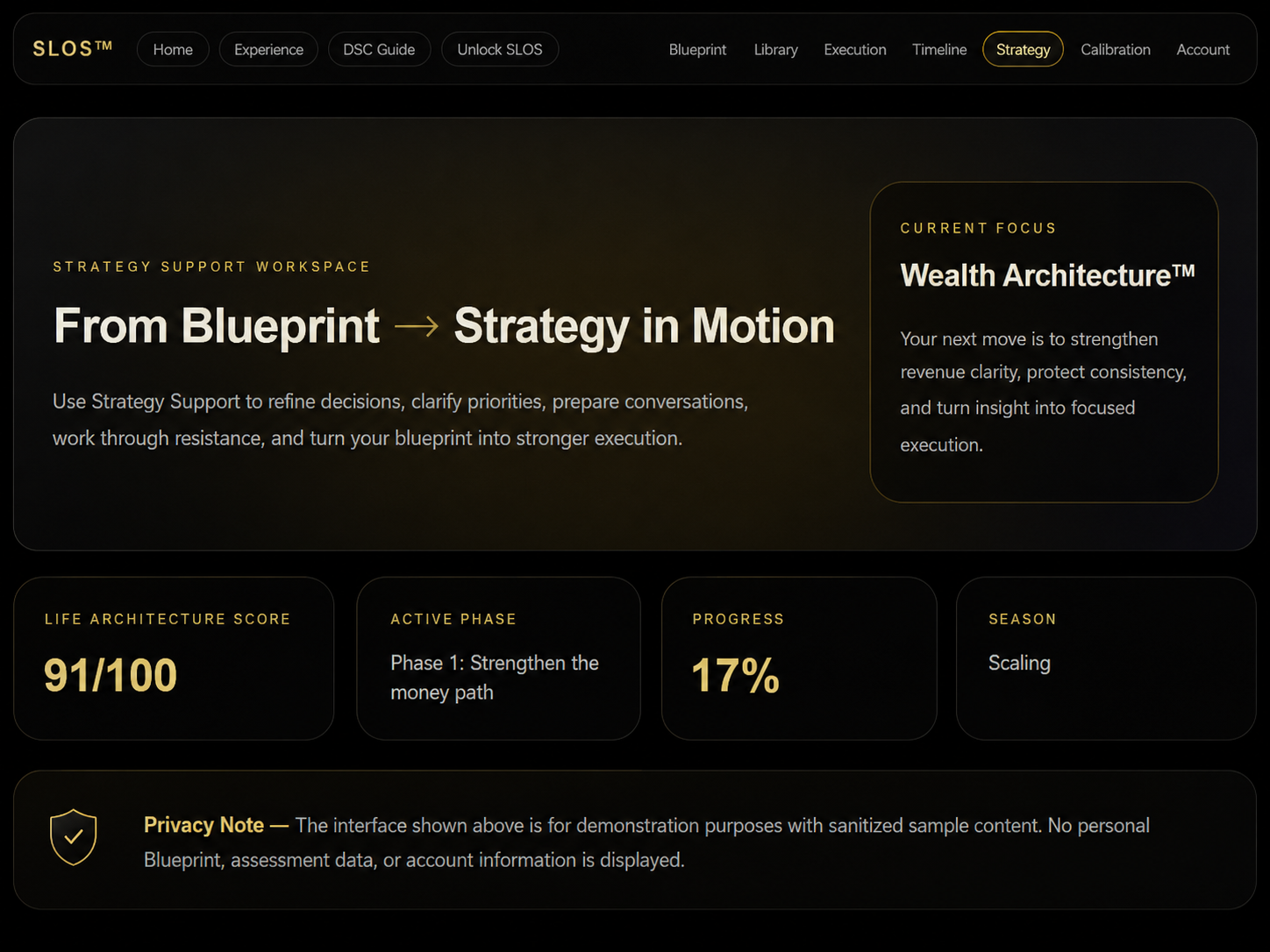Strategy Support Blueprint Context